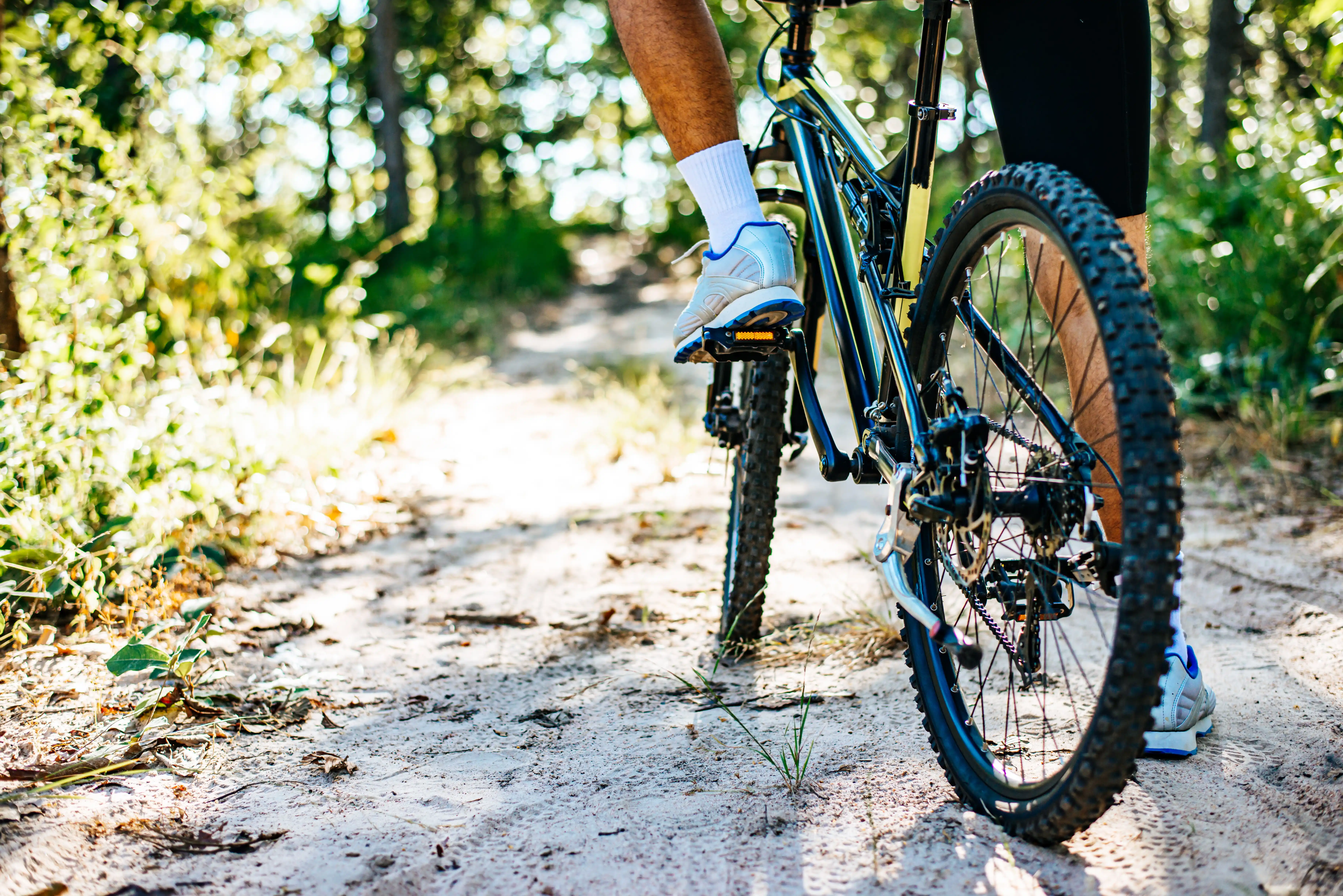 mountain-cyclists-sitting-on-bicycles