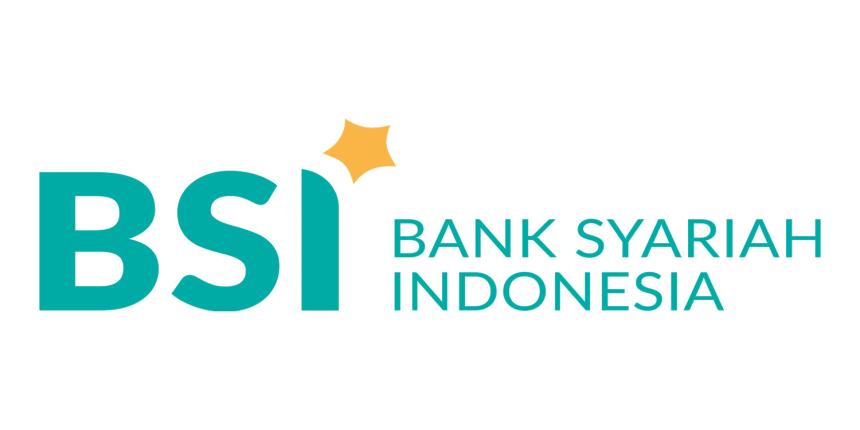 bsi-net