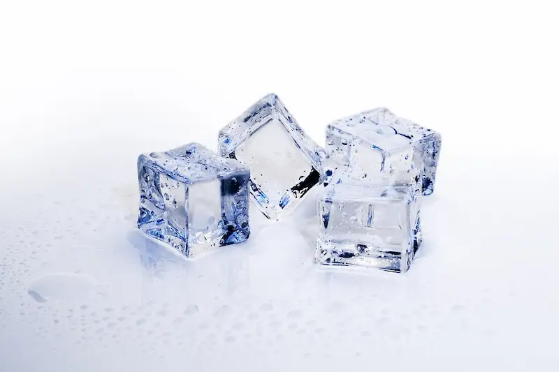 Frozen Food
