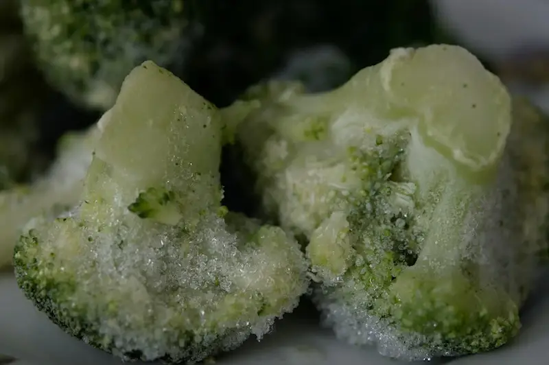 Makanan Beku