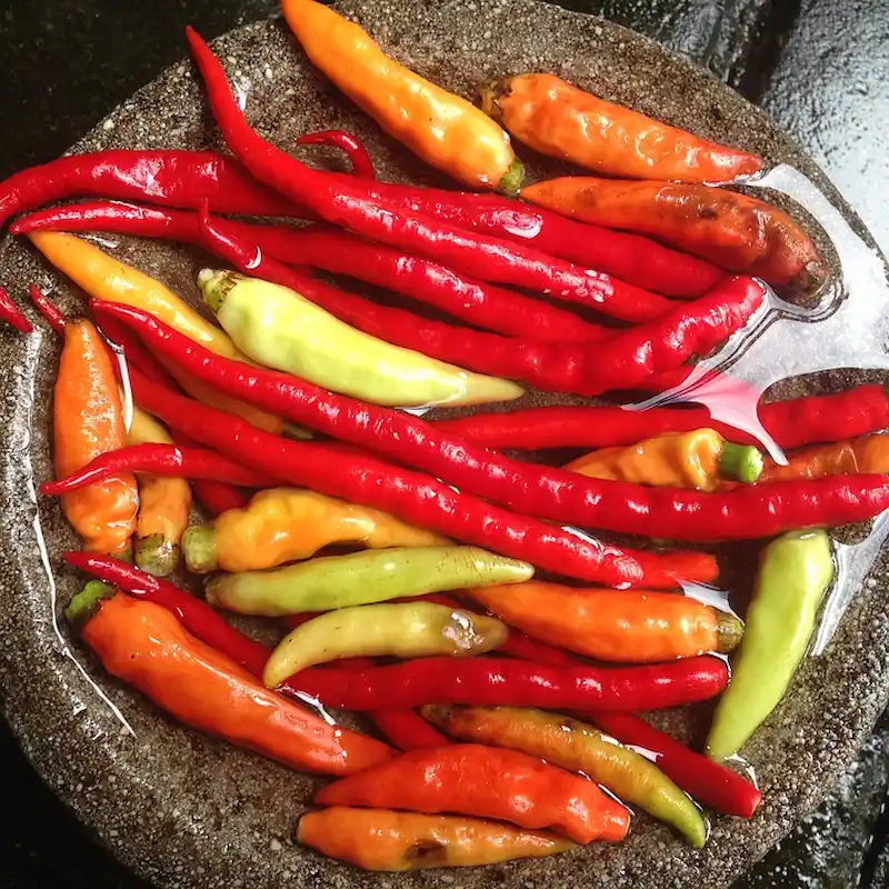 Sambal